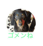 バーニィの呟き（個別スタンプ：21）