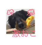 バーニィの呟き（個別スタンプ：24）
