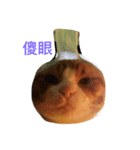 cat cat！！！（個別スタンプ：1）