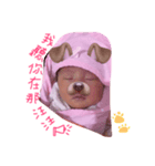 I am Shin（個別スタンプ：3）