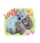 ポメりん stamp（個別スタンプ：15）