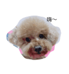 Favorite baby i love you guys（個別スタンプ：2）