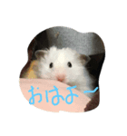 なかよしかぞくだよ（個別スタンプ：2）