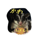 なかよしかぞくだよ（個別スタンプ：3）
