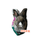 Dobiball（個別スタンプ：3）