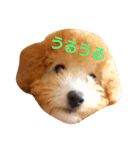 ぼく、うに。3（個別スタンプ：5）