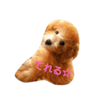 ぼく、うに。3（個別スタンプ：6）