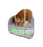 ぼく、うに。3（個別スタンプ：8）
