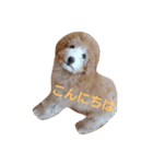 ぼく、うに。3（個別スタンプ：10）