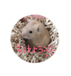 こことなっつとふぇありーとぼーろ（個別スタンプ：8）