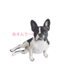 チャーリーとおでん（個別スタンプ：2）