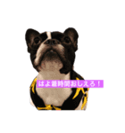 チャーリーとおでん（個別スタンプ：7）