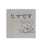 チャーリーとおでん（個別スタンプ：16）