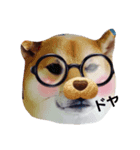 YEAH Dog（個別スタンプ：4）