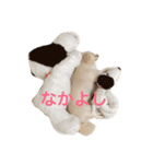 チワックスのレア（個別スタンプ：4）