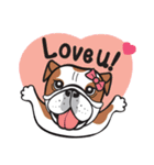 Crazy Bulldog（個別スタンプ：1）