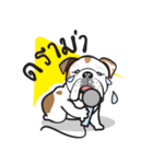 Crazy Bulldog（個別スタンプ：3）