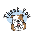 Crazy Bulldog（個別スタンプ：8）