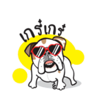 Crazy Bulldog（個別スタンプ：9）