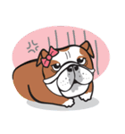 Crazy Bulldog（個別スタンプ：10）