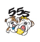 Crazy Bulldog（個別スタンプ：14）