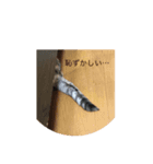 Rutofamily3（個別スタンプ：2）