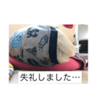 Rutofamily3（個別スタンプ：8）