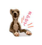 イタグレちゃんこなつ（個別スタンプ：4）