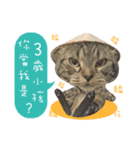 American shorthair Salad 3.（個別スタンプ：8）