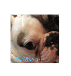 カム君（個別スタンプ：6）