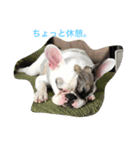 カム君（個別スタンプ：13）