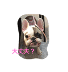 カム君（個別スタンプ：16）
