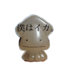 Pomeranian AND sQui-:D（個別スタンプ：22）