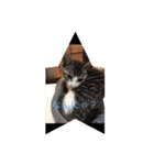 猫にゃんルル＆リリー（個別スタンプ：4）