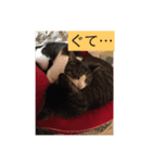 猫にゃんルル＆リリー（個別スタンプ：14）