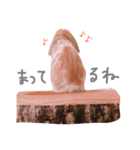 うさぎのモカちん（個別スタンプ：4）