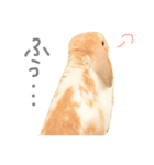 うさぎのモカちん（個別スタンプ：5）