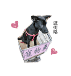 Echo speck（個別スタンプ：4）