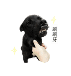 Echo speck（個別スタンプ：5）