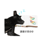 Echo speck（個別スタンプ：8）