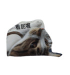even456（個別スタンプ：8）