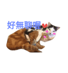 one for three（個別スタンプ：7）