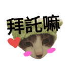 one for three（個別スタンプ：8）