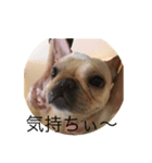 麦ちゃん3（個別スタンプ：5）