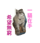つーとネコちゃんたち（個別スタンプ：33）