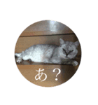 わたる.あや（個別スタンプ：3）