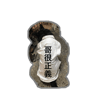 B-dog（個別スタンプ：4）