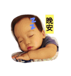 Noah's Life（個別スタンプ：2）