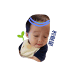 Noah's Life（個別スタンプ：6）