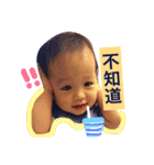 Noah's Life（個別スタンプ：15）